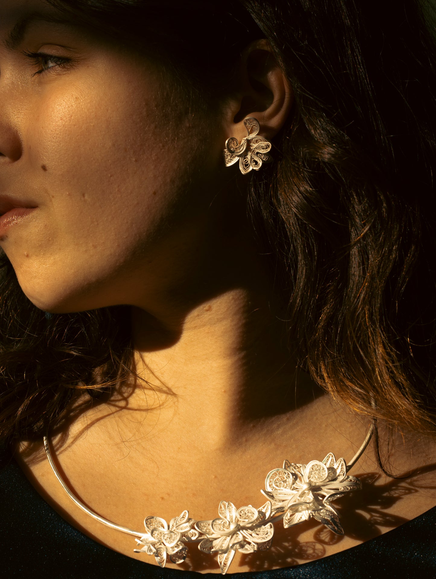 Metamorphoses of Chrysanthemums