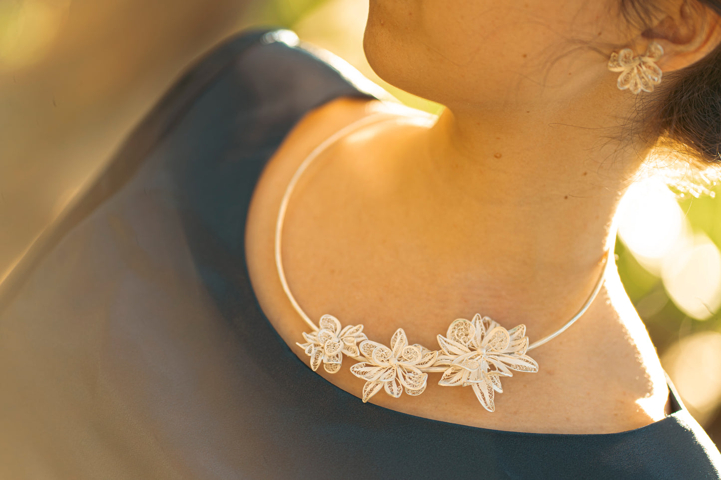 Metamorphoses of Chrysanthemums