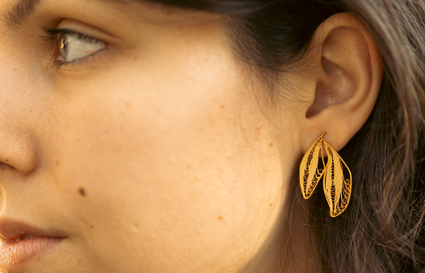 Brincos Folhagem Dourada