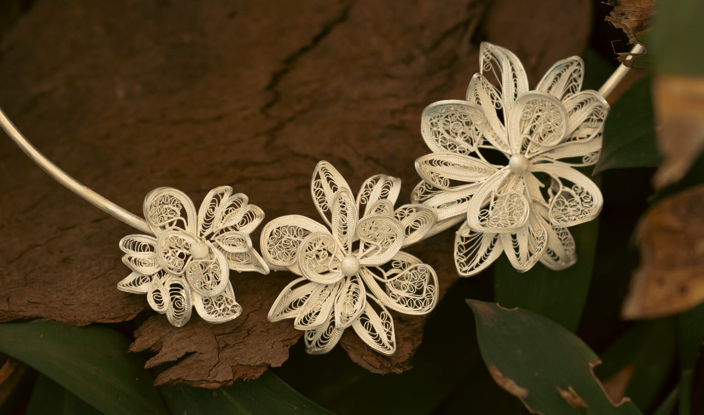 Metamorphoses of Chrysanthemums