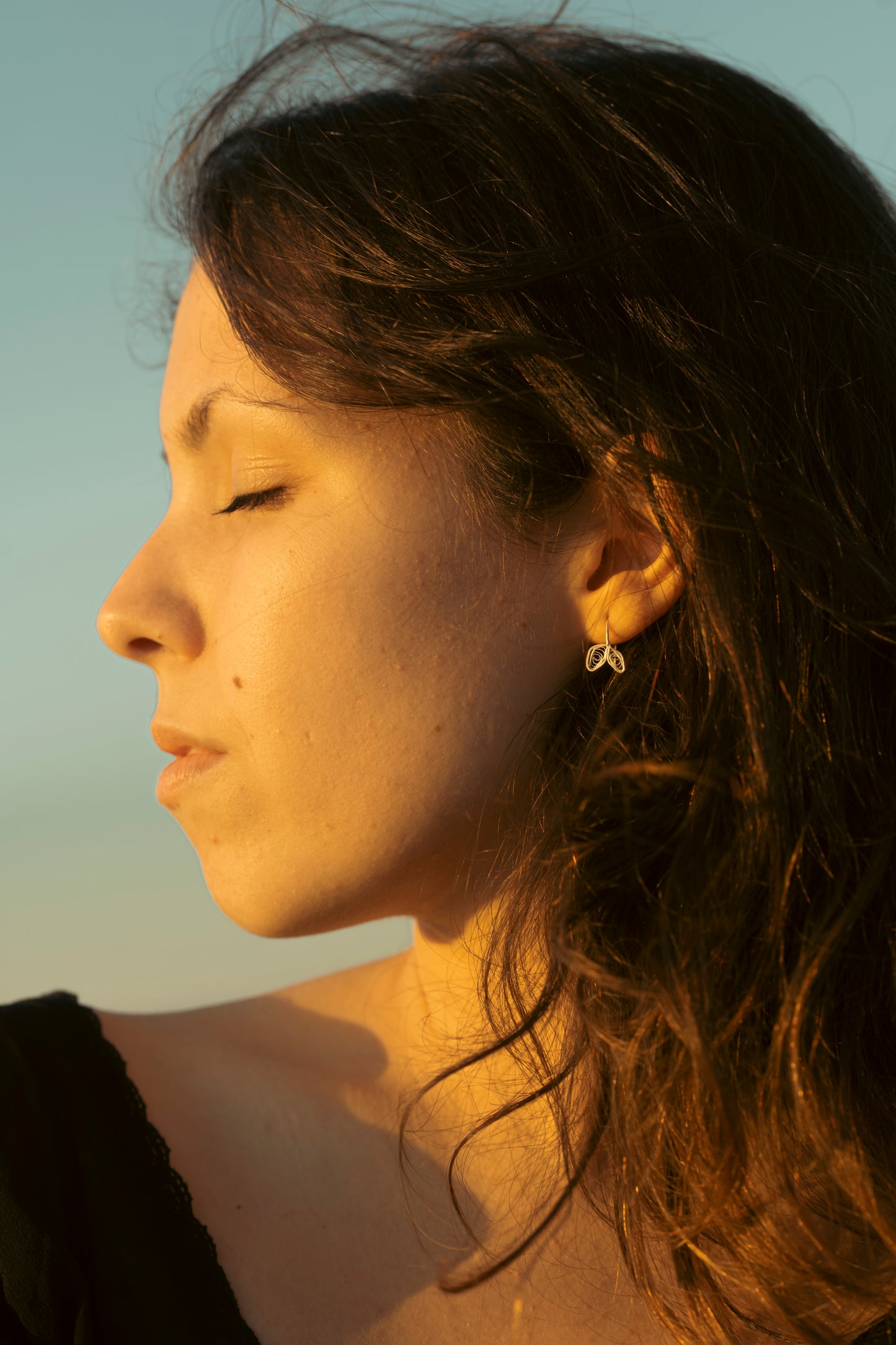 Brincos Pétalas de Cristasemo